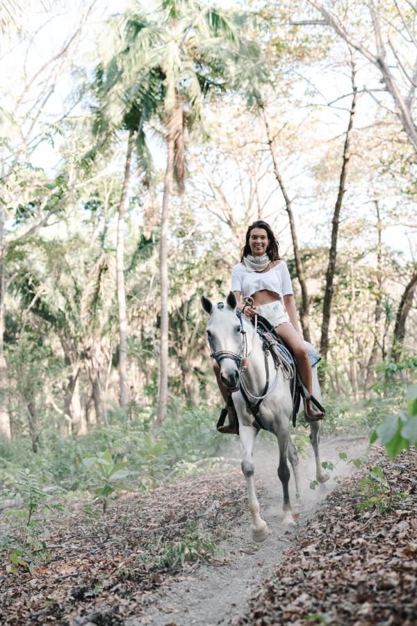 Star Mountain Jungle Lodge & Horse Ranch Маль-Паіс Екстер'єр фото